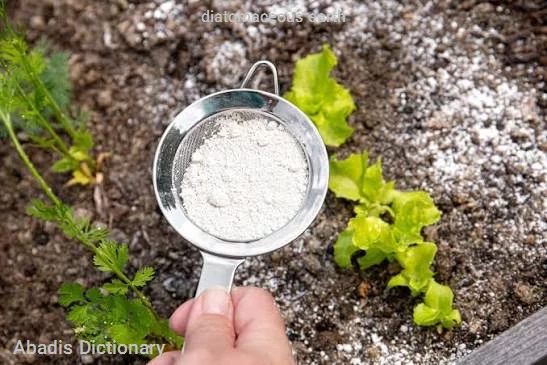 diatomaceous earth